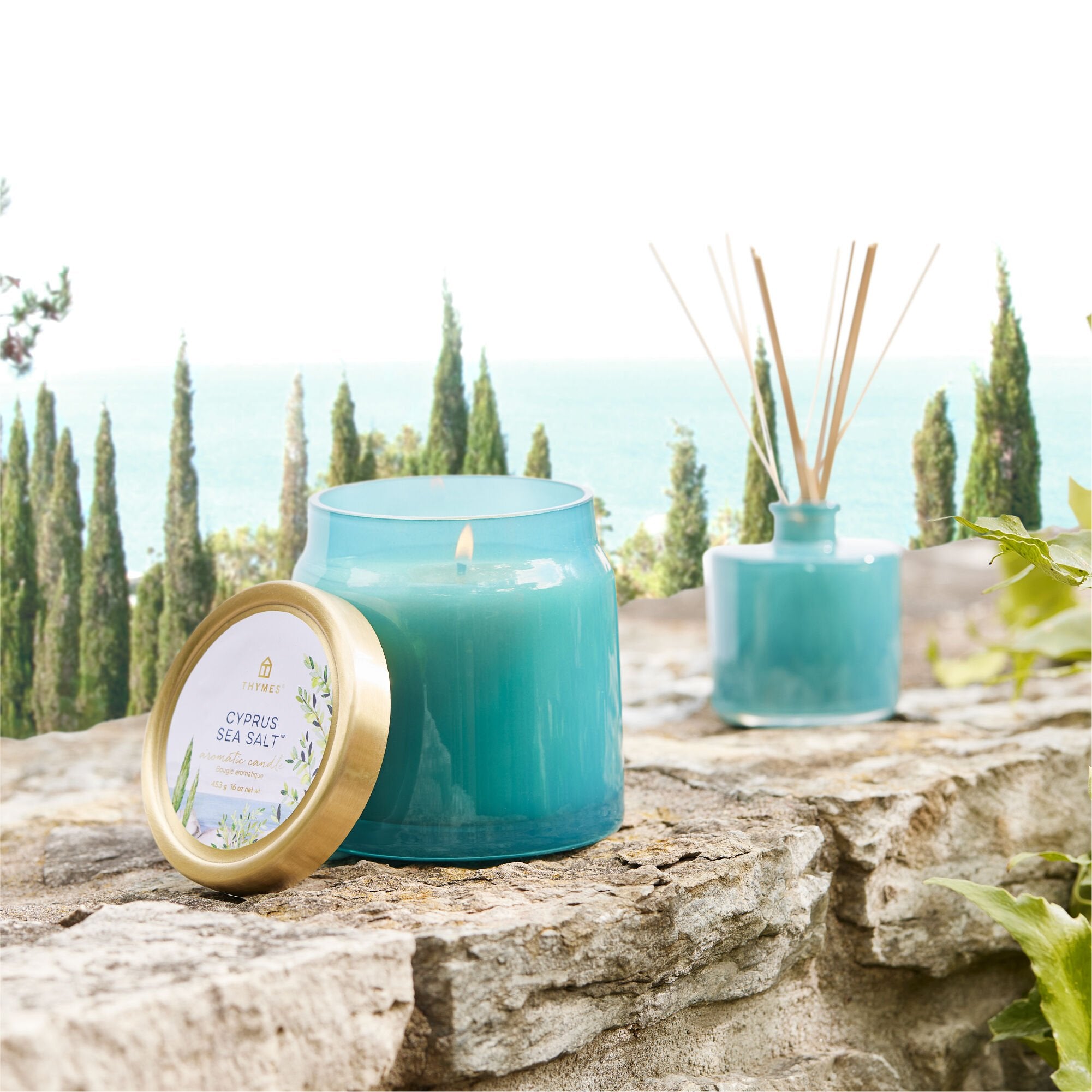 Cyprus Sea Salt Petite Reed Diffuser - Image 4