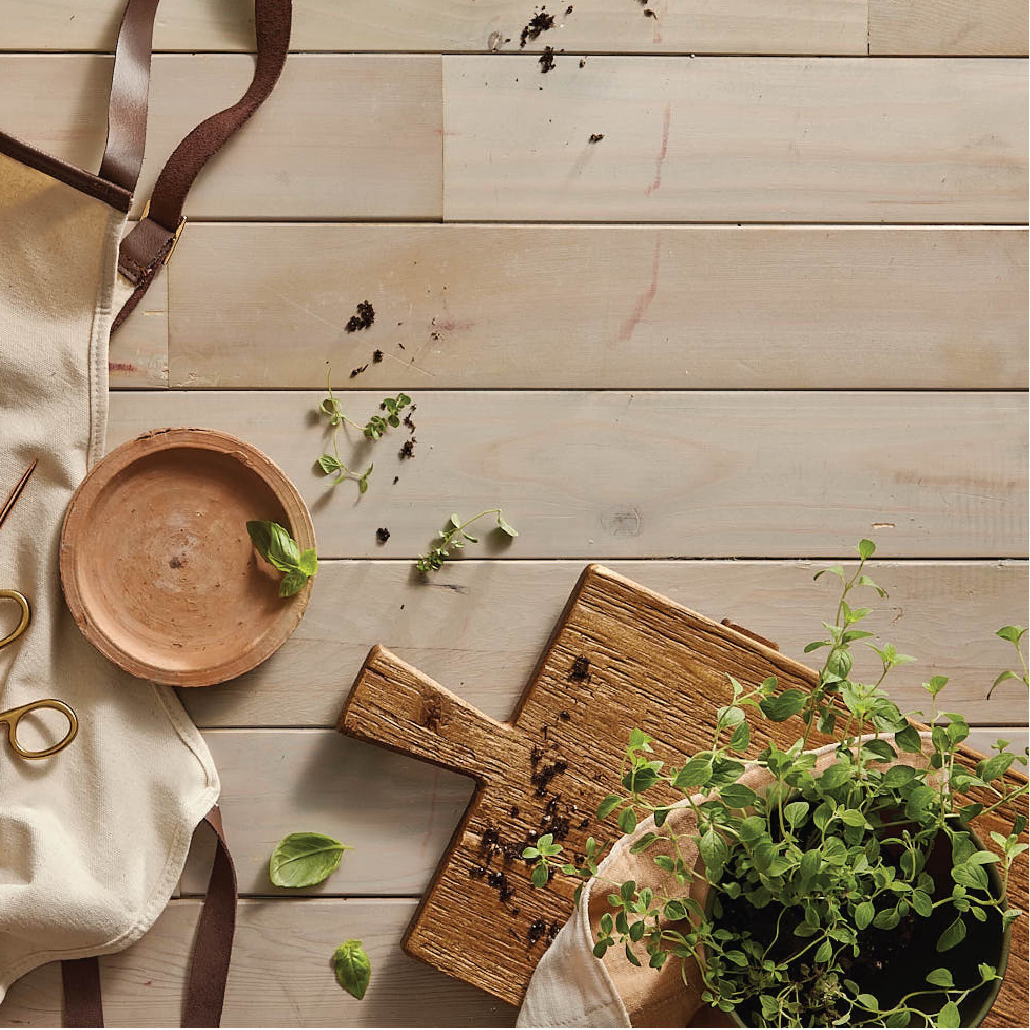 Fresh-Cut Basil Reed Diffuser Oil Refill - Image 3