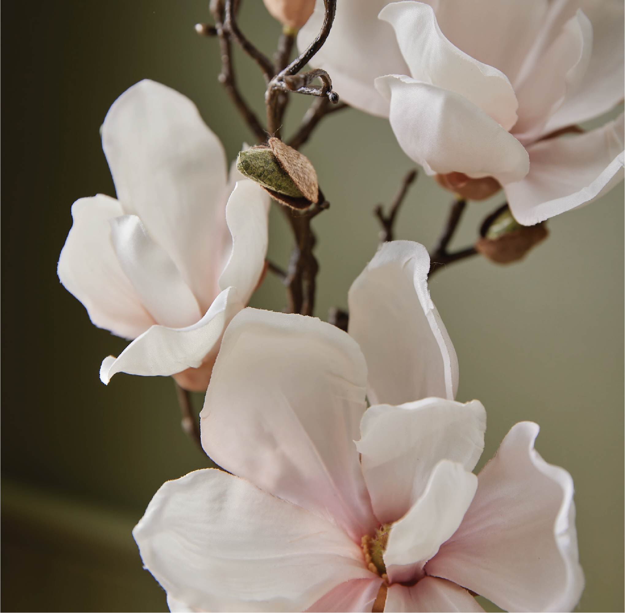 Magnolia Willow Hand Wash Refill - Image 2