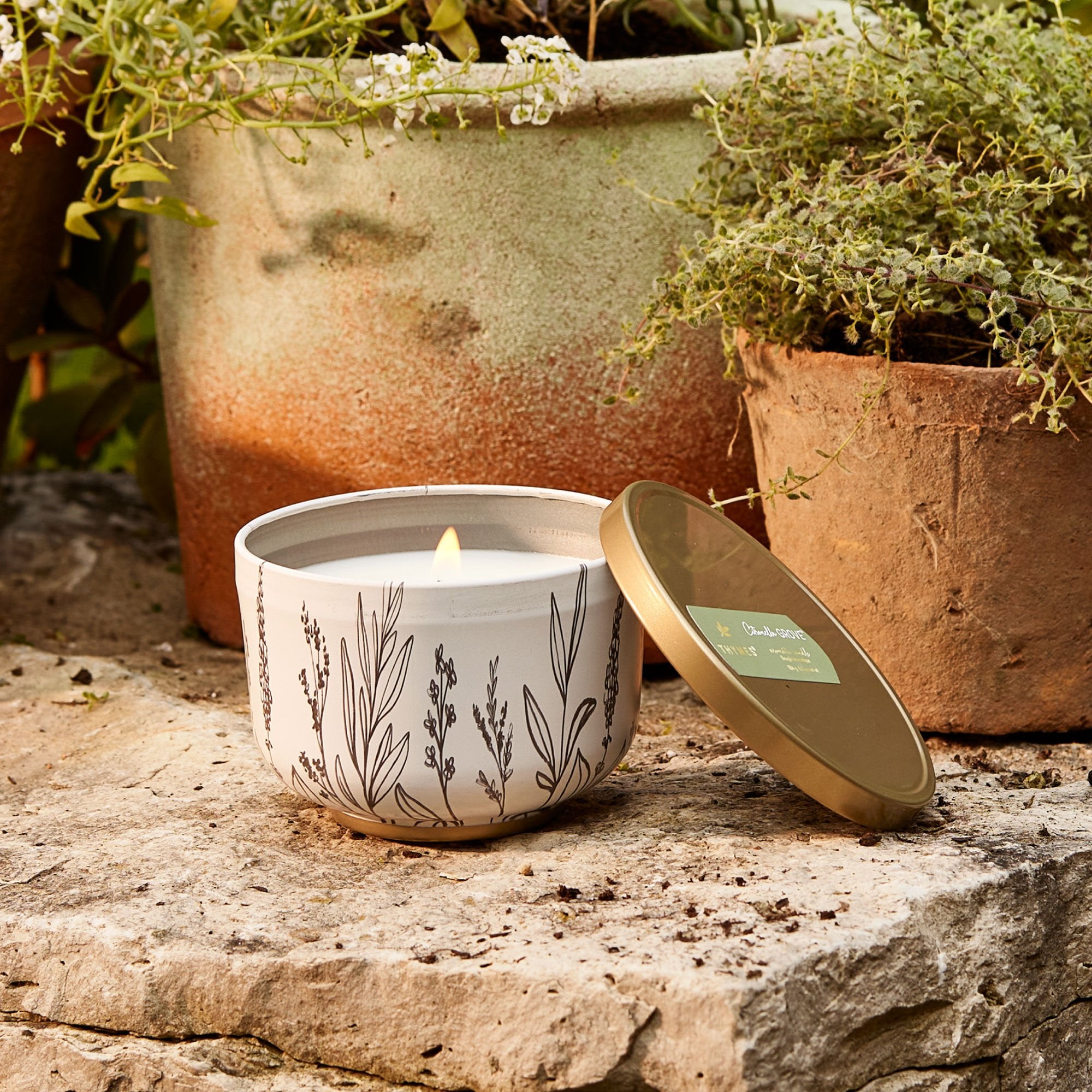 Outdoor Oasis Citronella Grove Poured Candle Tin with Gold Lid - Image 3